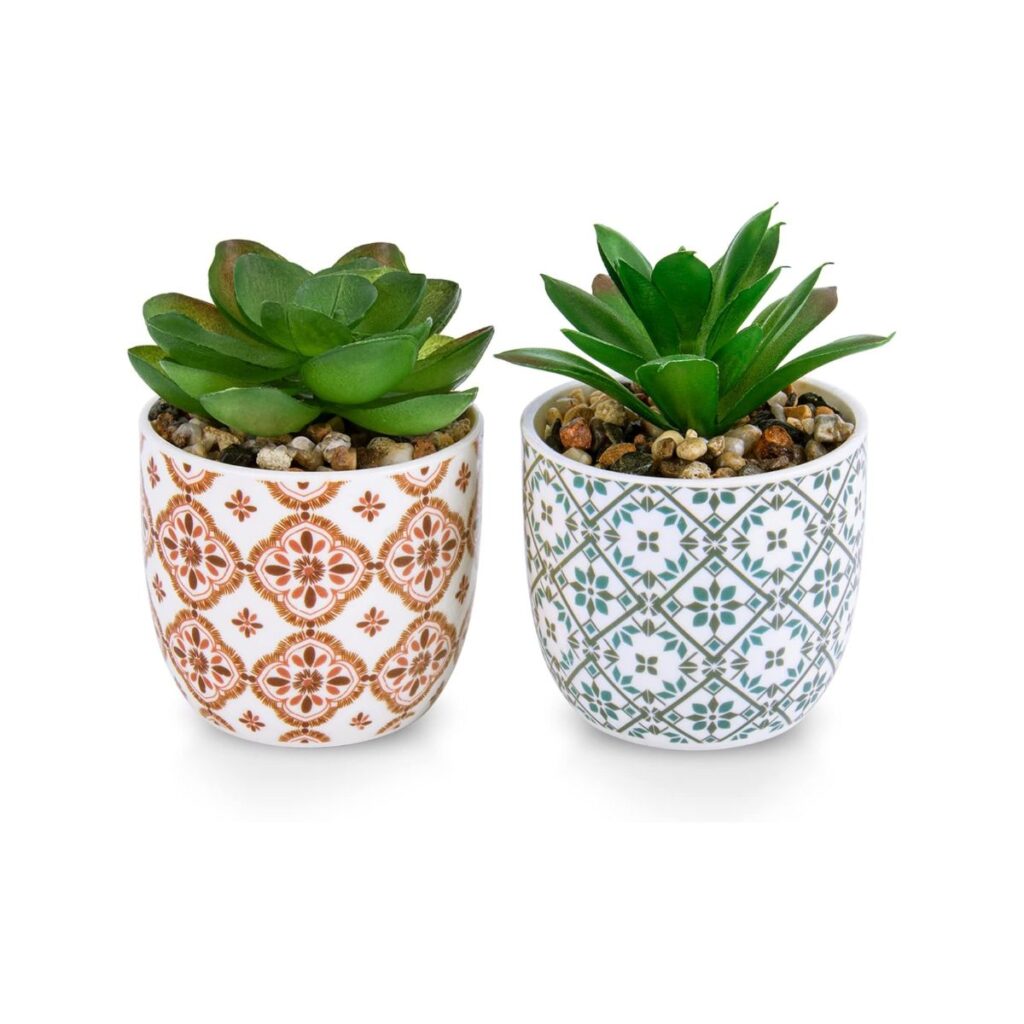 mini desk plants