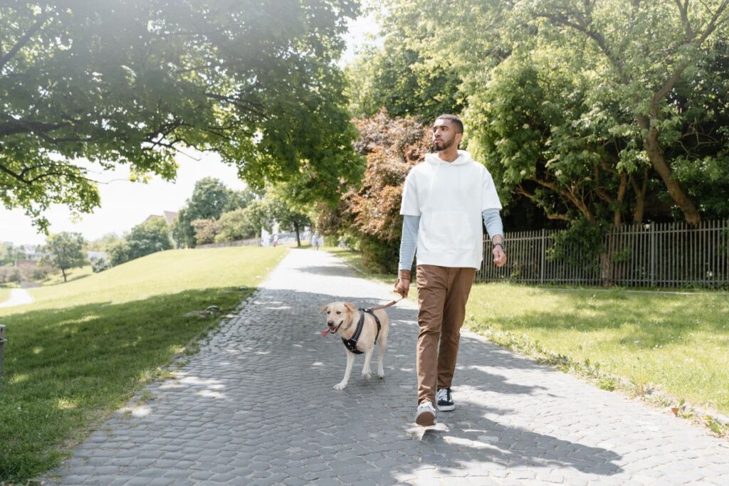 a teenage boy walking a dog